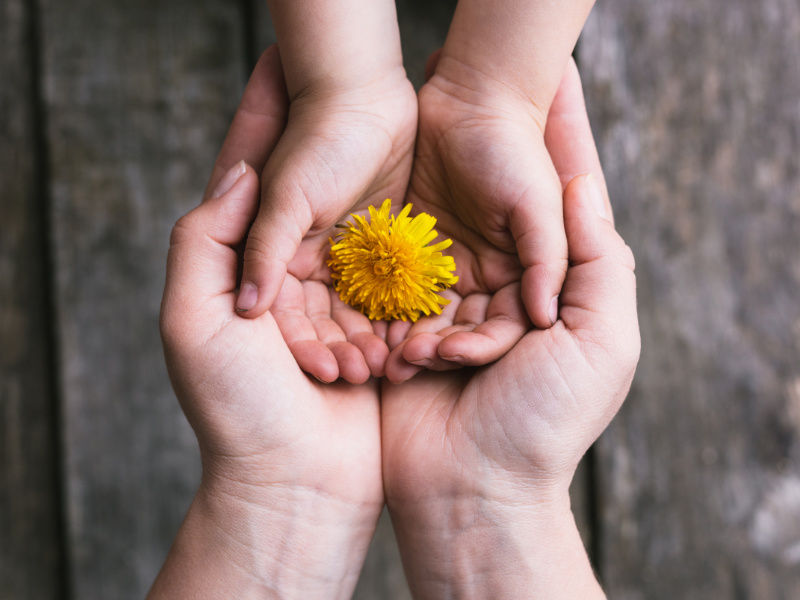 El poder de la gratitud